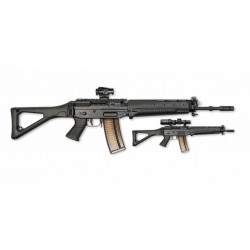 Sig 551 cal 223 rem avec dioptre