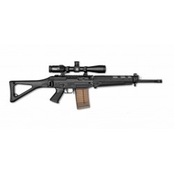 Sig 751 SAPR cal 308 W