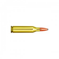 Cartouches PARTIZAN CAL. .243 WINCHESTER 100-GRS SP