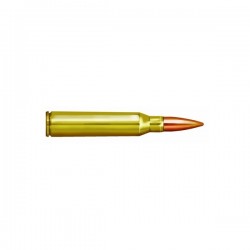 Cartouches PARTIZAN CAL. .338 LAPUA MAG. 250-GRS HP BT MATCH